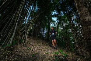 BIB: 
                            <button type="button" onclick="openModal(19395472)" class="btn btn-primary btn-sm float-right btn-popup" data-toggle="modal" data-target=".modal-high-quality">
                        <i class="fas fa-shopping-cart"></i> Add to Cart
                    </button>
                                            <button type="button" onclick="isThisMe(19395472, true)" class="btn btn-success btn-sm float-right btn-popup btn-isme hidden" data-toggle="tooltip" data-placement="bottom" title="นี่คือรูปของคุณใช่ไหม คลิกที่นี่เพื่อเอาเข้าอัลบั้ม">
                        <i class="fas fa-plus"></i> Add to album
                    </button>
                    <button type="button" onclick="isThisMe(19395472, false)" class="btn btn-warning btn-sm float-right btn-popup btn-isnotme hidden">
                        <i class="fas fa-ban"></i> Remove from album
                    </button>